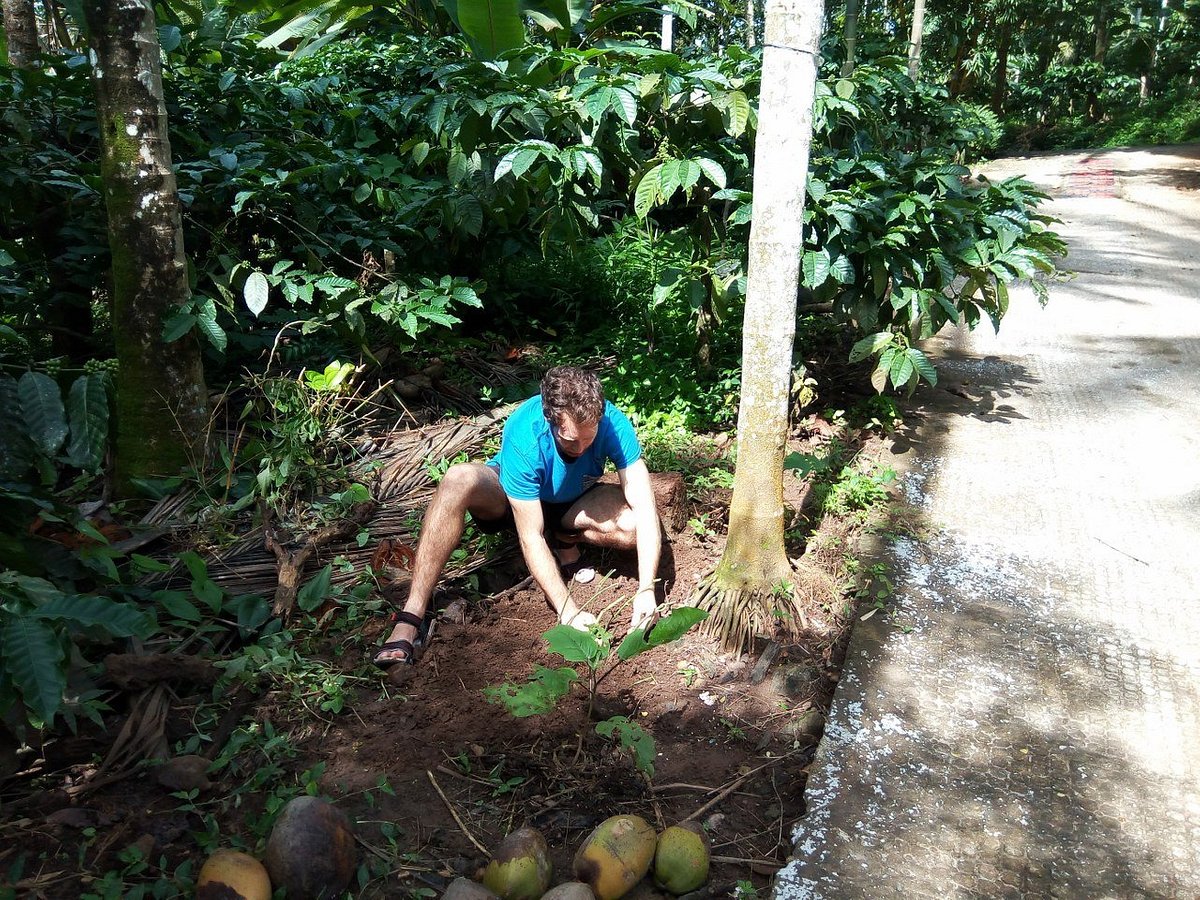 guests-planting-in-ouruyi